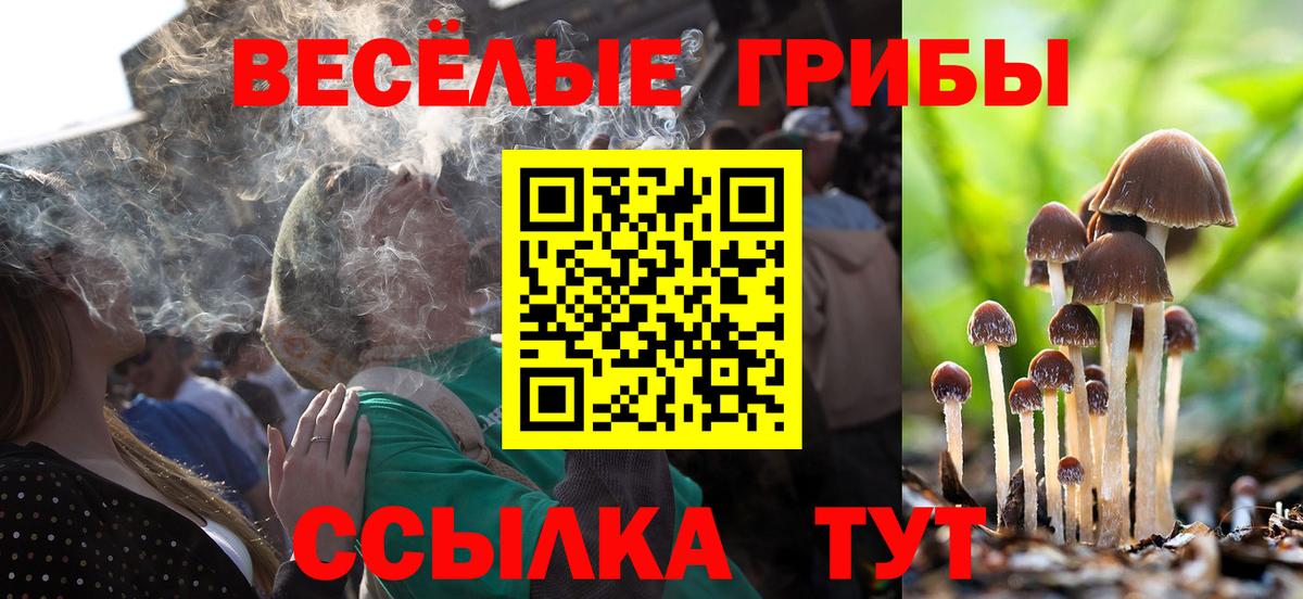 закладки  Псилоцибиновые грибы прущие грибы  Вход с VPN  Подольск  Галлюциногенные грибы мицелий 